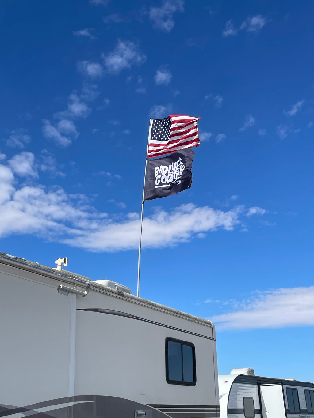 Bad Lines Misfit Flag