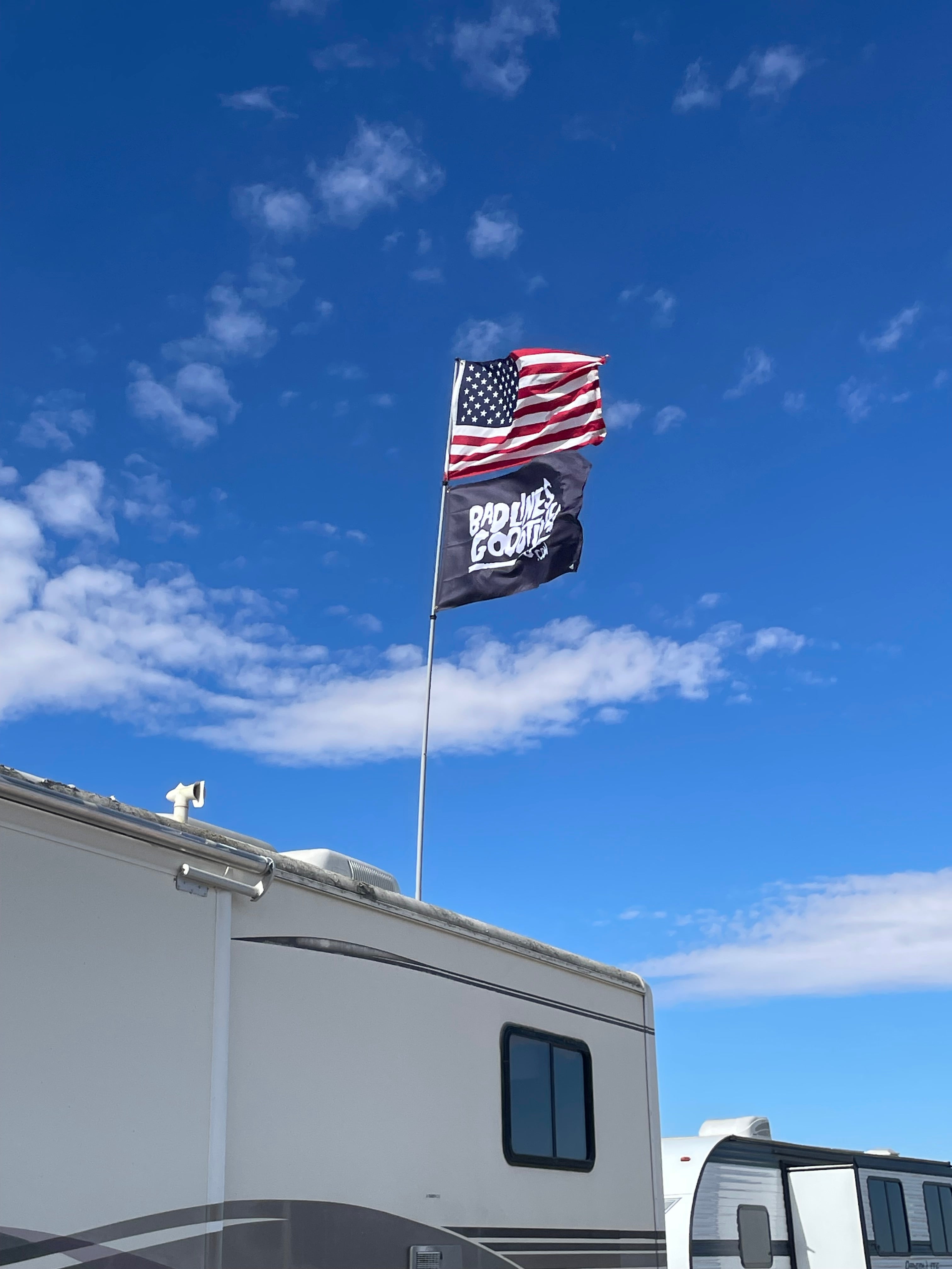 Bad Lines Misfit Flag